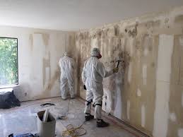 Best Black Mold Removal in Amboy, IL